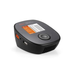 1000W Smart Charger