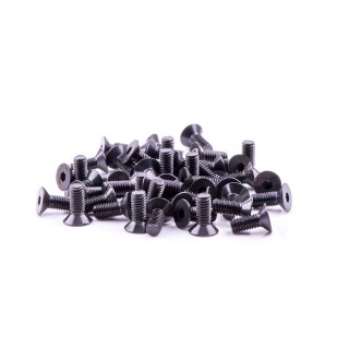 MST Countersunk Screw M2.5 X 16 MST Countersunk Screw M2.5 X 16
