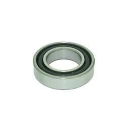 B-9021 Exhaust Gasket (2)