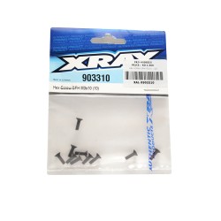 HEX SCREW SFH M3x10   (10)