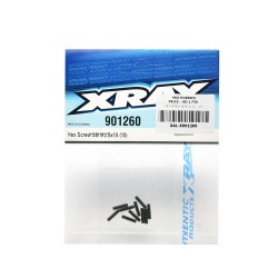 HEX SCREW SB M2.5x10   (10)